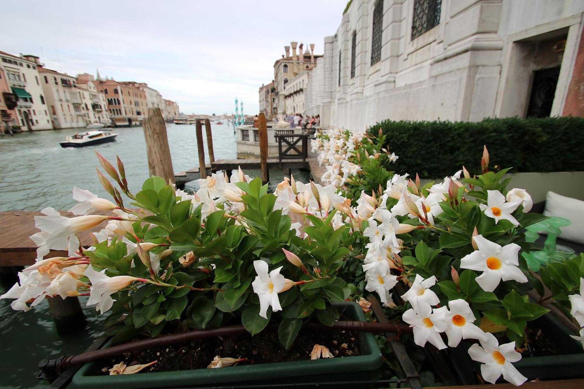 Grandelux-Canal - Bbc Venice Grand Tour 2024 Recorded Here! Esterno foto